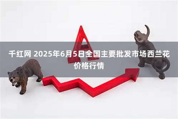 千红网 2025年6月5日全国主要批发市场西兰花价格行情