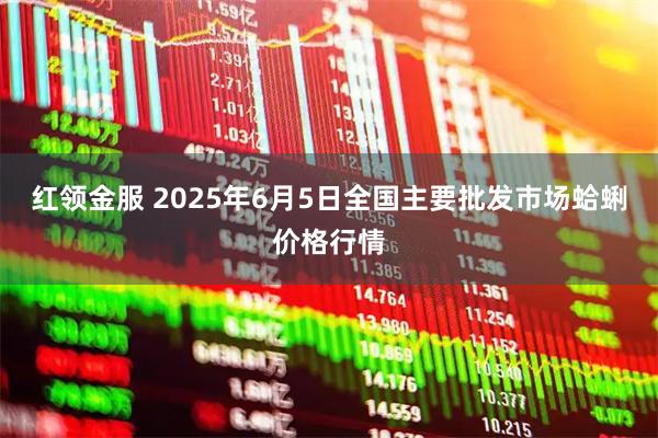 红领金服 2025年6月5日全国主要批发市场蛤蜊价格行情