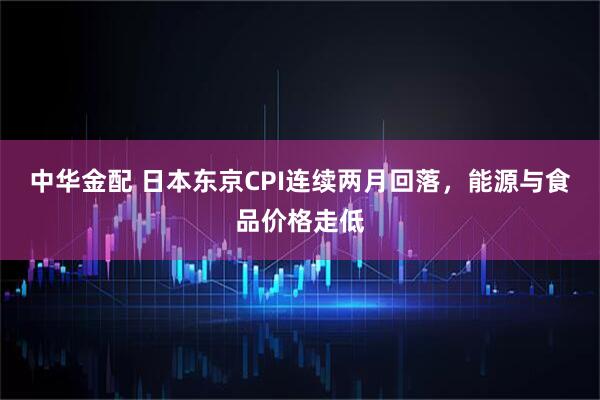 中华金配 日本东京CPI连续两月回落，能源与食品价格走低