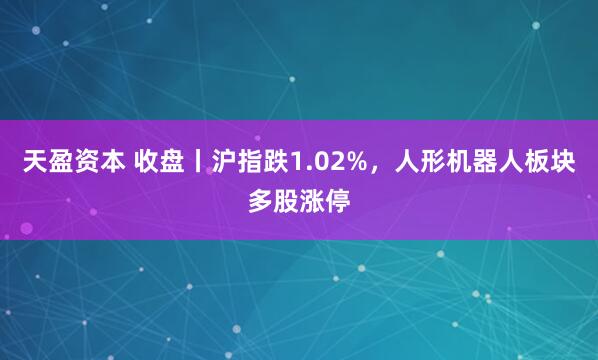 天盈资本 收盘丨沪指跌1.02%，人形机器人板块多股涨停