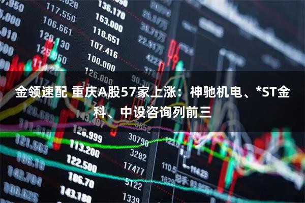 金领速配 重庆A股57家上涨:神驰机电、*ST金科、中设咨询列前三