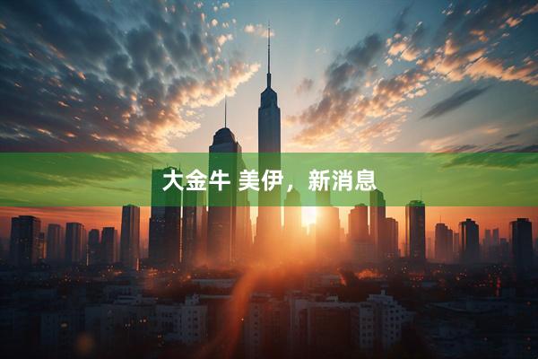 大金牛 美伊，新消息